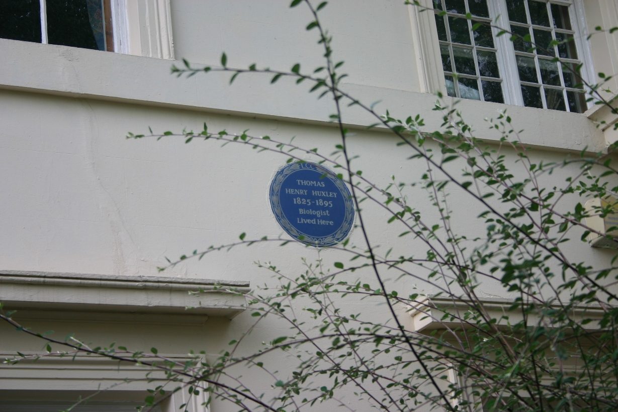 Thomas Henry Huxley's home, London - 03.JPG